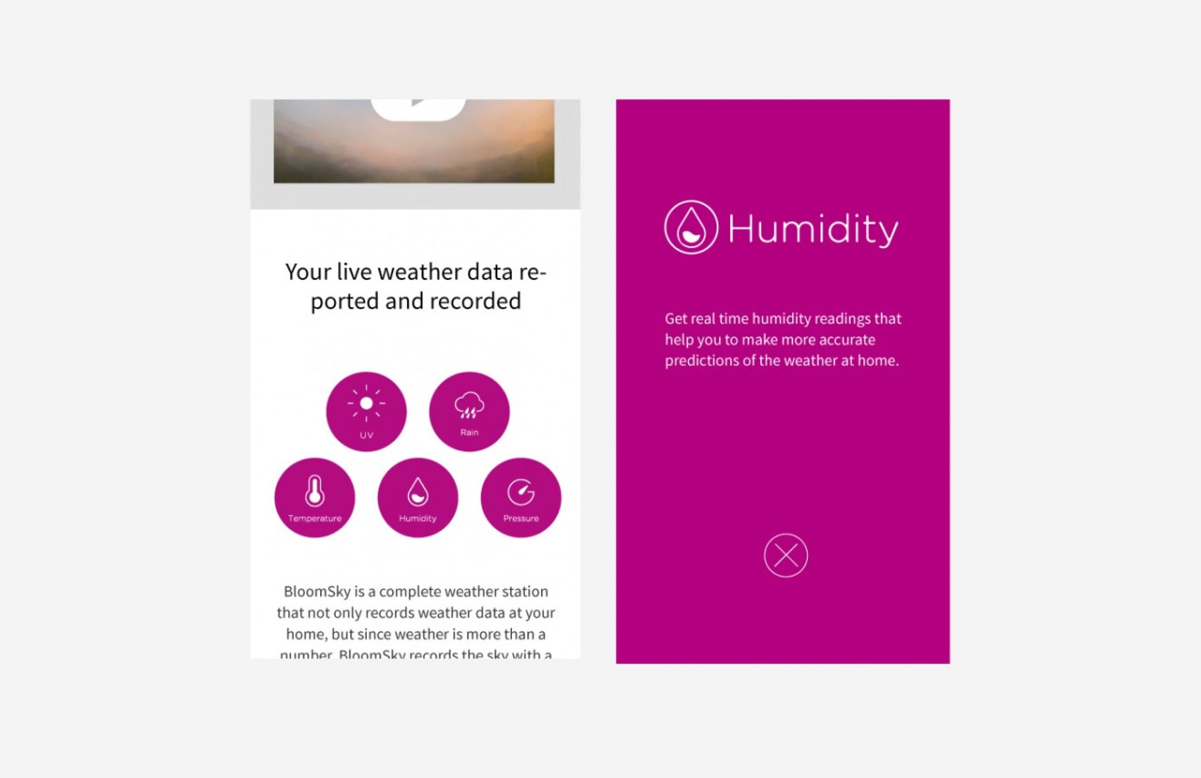 BloomSky weather station frame