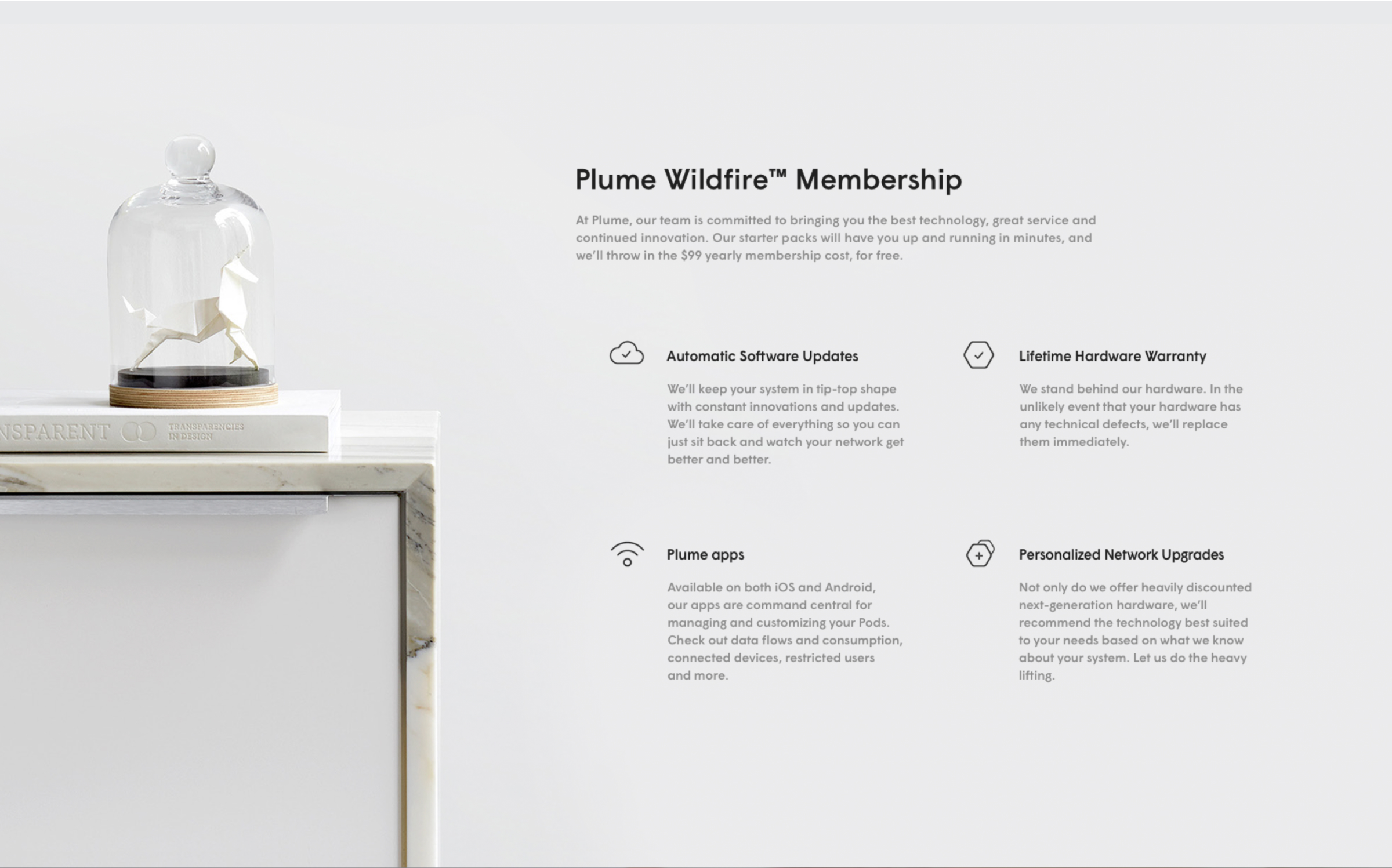 The Plume brand — Head of Brand / Head of Design frame