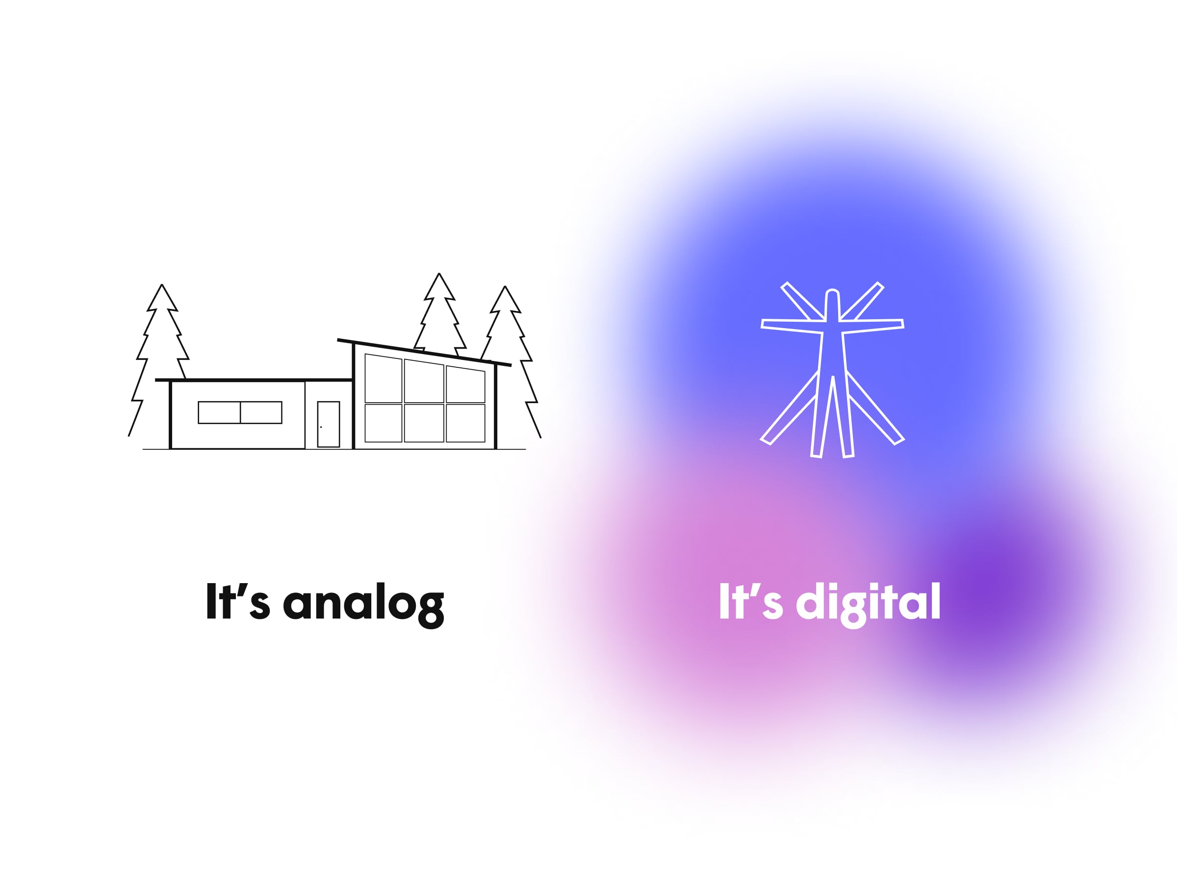 The Plume brand — Head of Brand / Head of Design frame