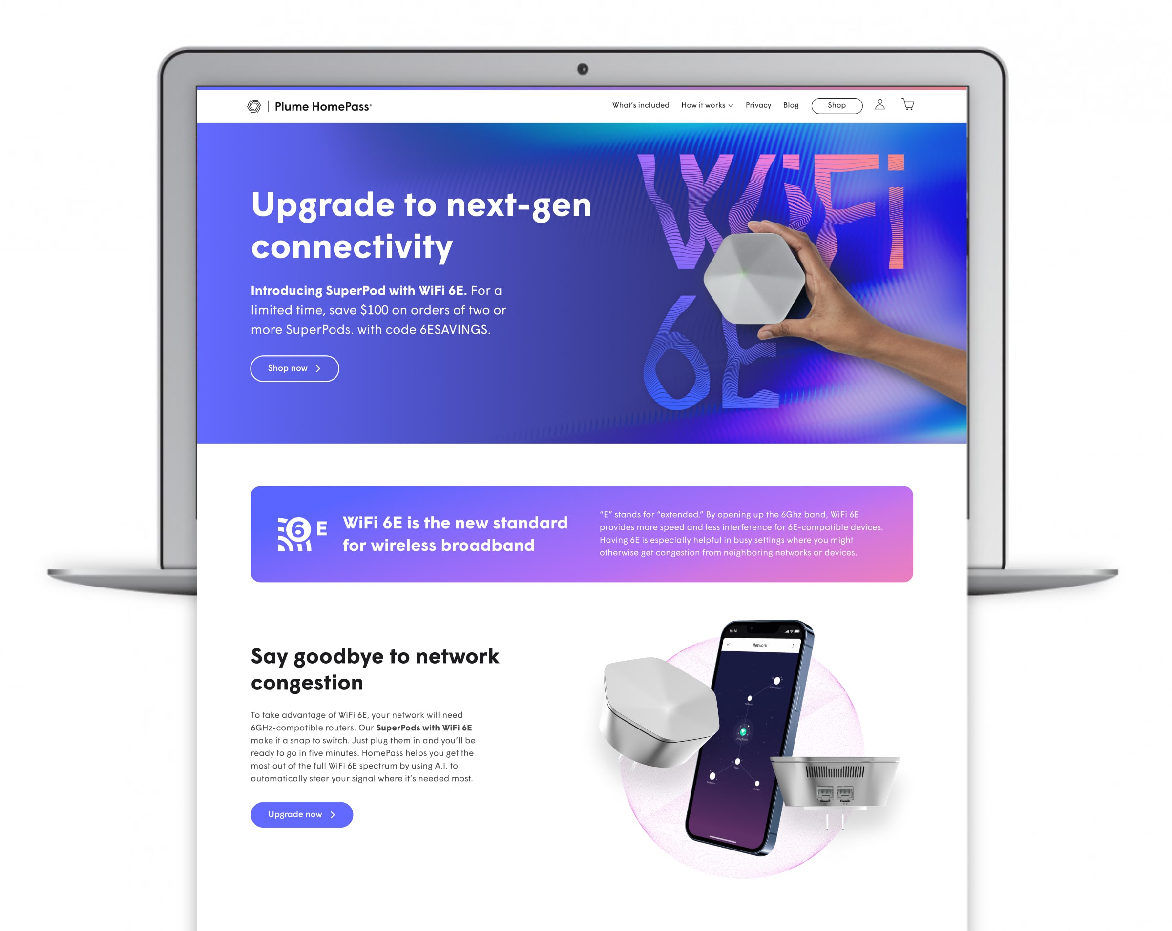 The Plume brand — Head of Brand / Head of Design frame