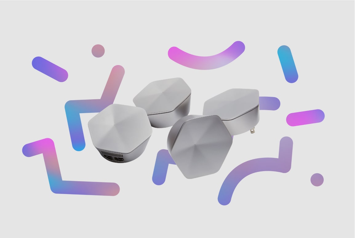 The Plume brand — Head of Brand / Head of Design frame