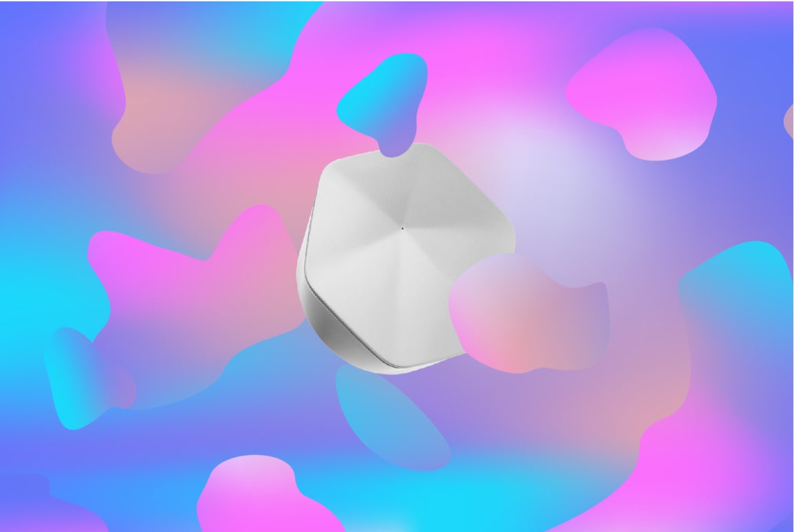 The Plume brand — Head of Brand / Head of Design frame