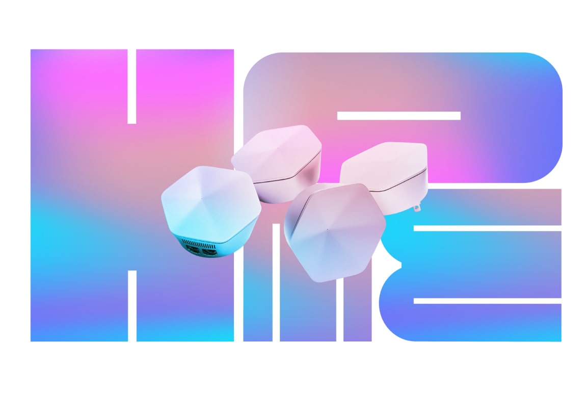 The Plume brand — Head of Brand / Head of Design frame