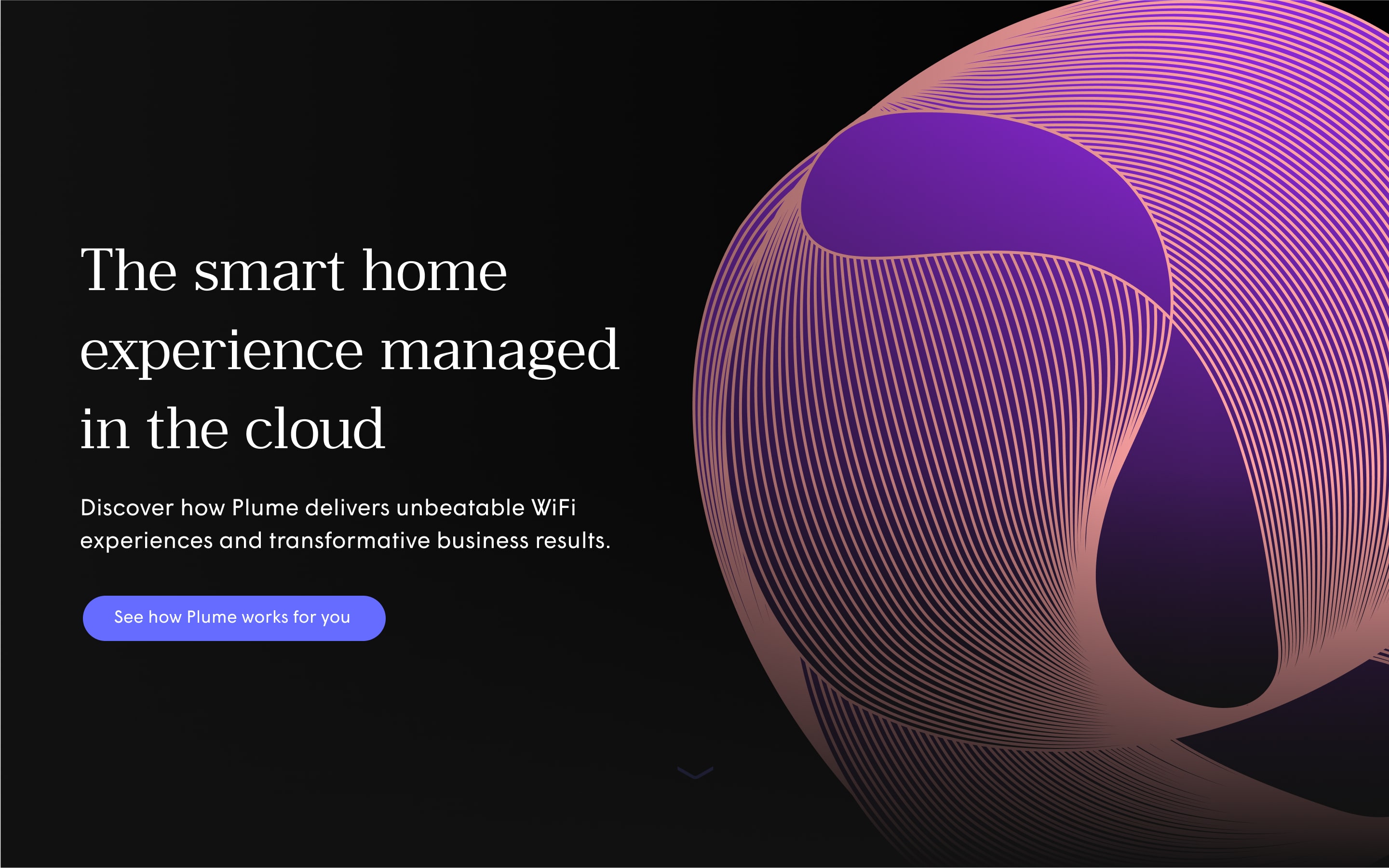Web dashboard products — Head of Design frame