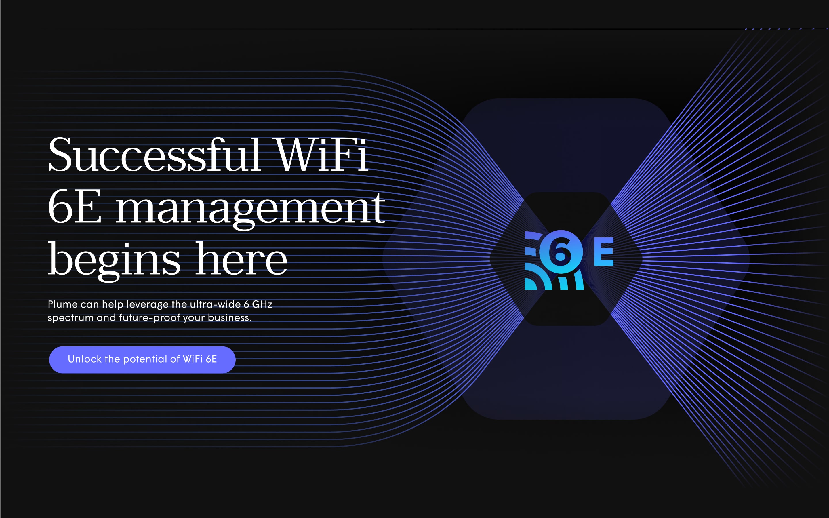 Web dashboard products — Head of Design frame