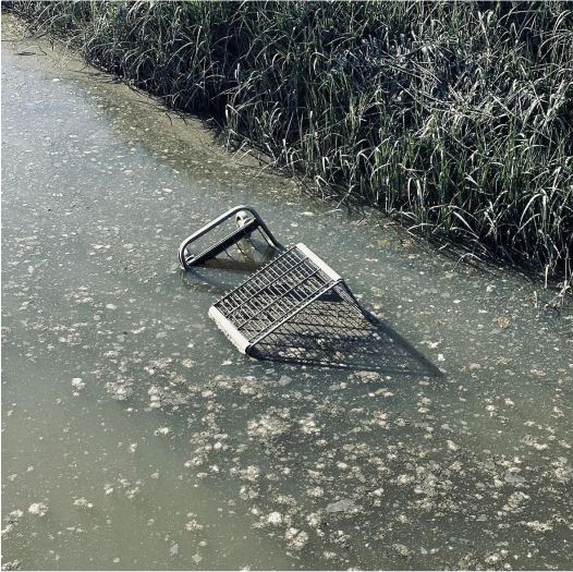 Select Instagram — recent photograph 2